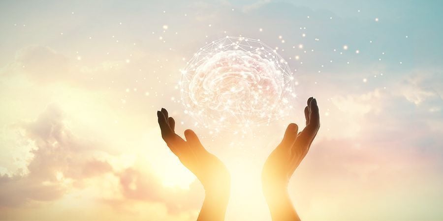 LAS SETAS ALUCINÓGENAS CONECTAN EL CEREBRO A OTRO NIVEL