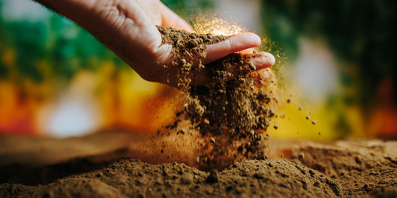 Consejo nº 4: Cultiva marihuana en el sustrato adecuado