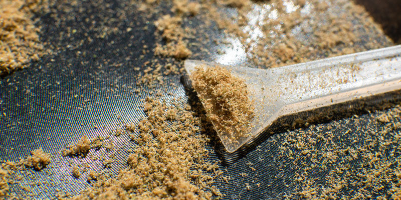 ¿Qué Es El Kief?