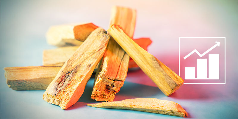 Efectos Del Palo Santo