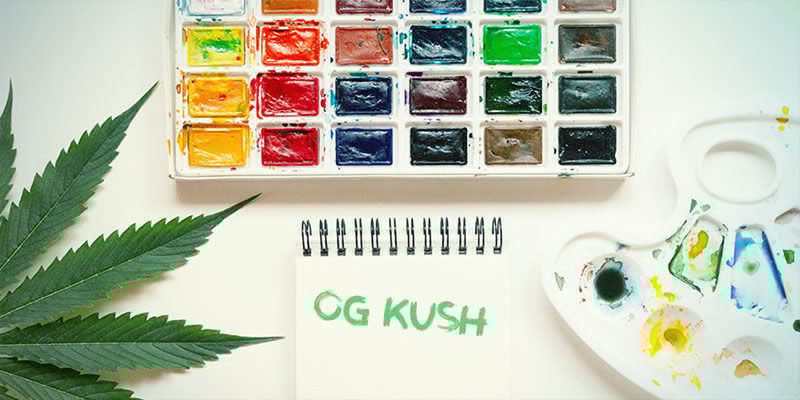 Características De La OG Kush