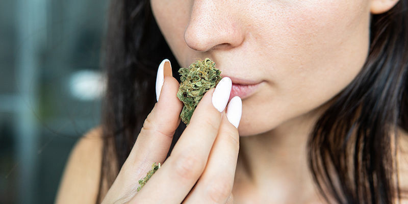 ¿Por qué elegir variedades de CBD?
