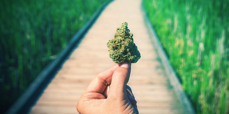 Marihuana Buena, Mala Y Espectacular
