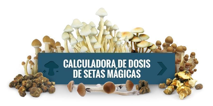 calculadora de dosis de setas mágicas