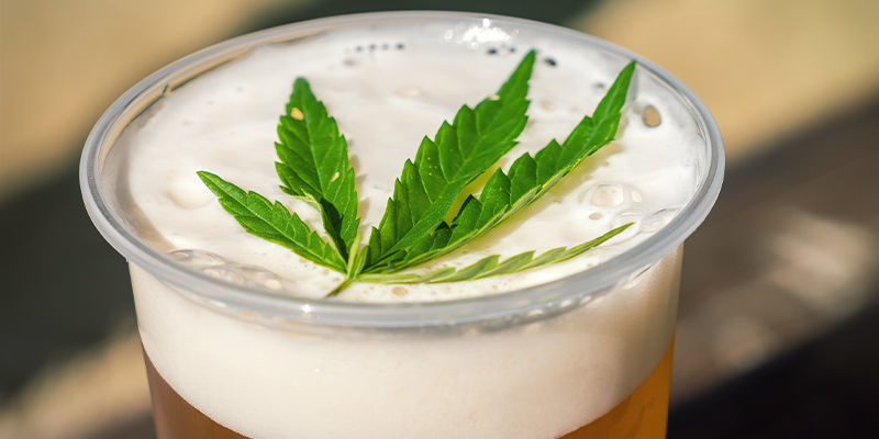 Cerveza Con Cannabis
