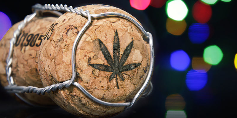 Vino De Cannabis