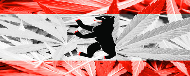Cannabis bandera berlín
