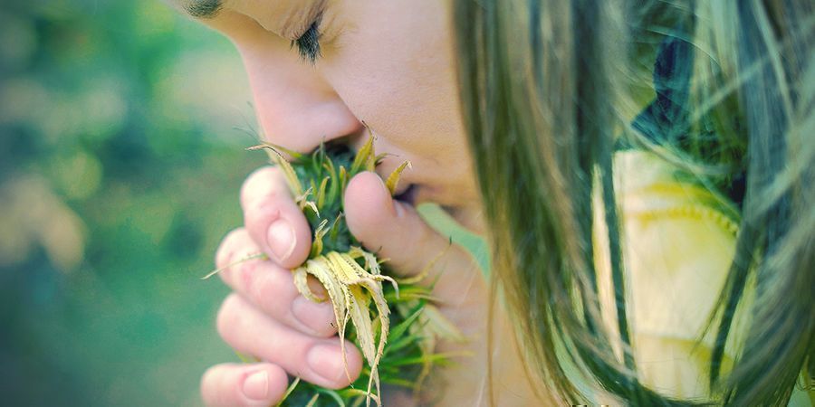 Razones Para Dejar El Tabaco: Sentido Del Gusto Y Del Olfato