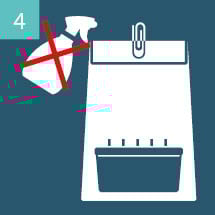 Aparici&oacute;n de primordios