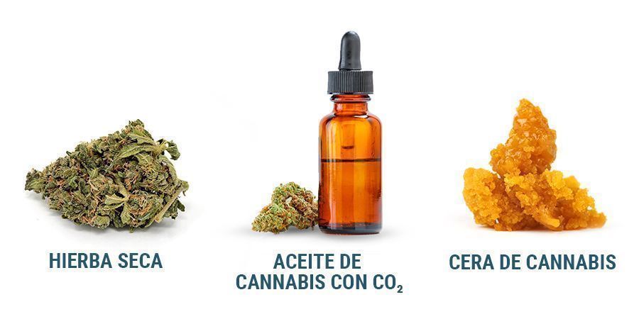 Qué Se Puede Vaporizar