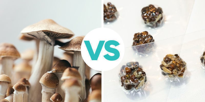 ¿En qué se diferencian las trufas alucinógenas y las setas mágicas?