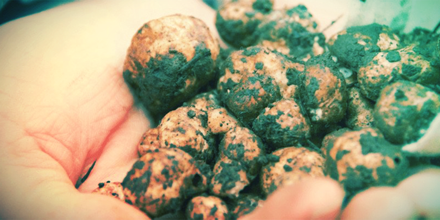 ¿CÓMO FUNCIONAN LAS TRUFAS MÁGICAS?