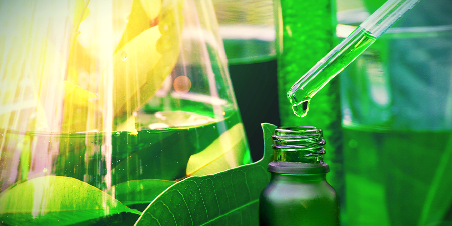 Química De La Ayahuasca Química De La Ayahuasca