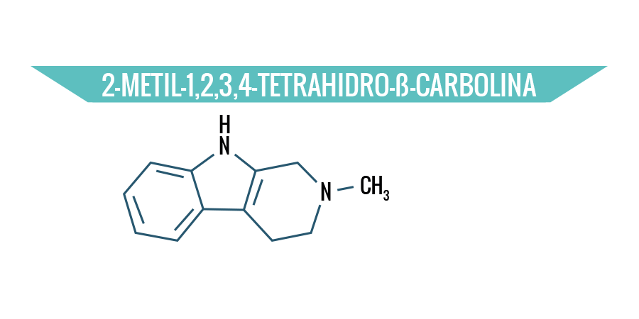 2-Metil-1,2,3,4-tetrahidro-β-carbolina 2-Metil-1,2,3,4-tetrahidro-β-carbolina