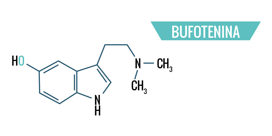 Bufotenina Bufotenina