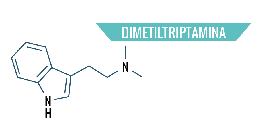 Dimetiltriptamina Dimetiltriptamina