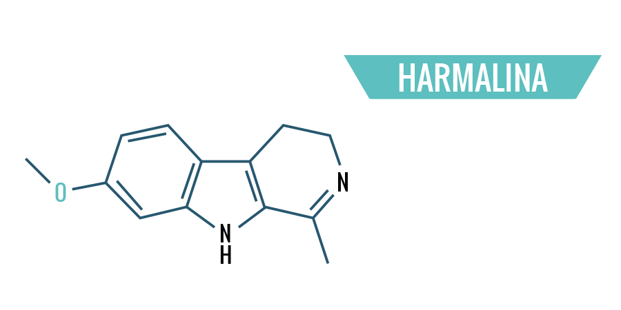 Harmalina Harmalina