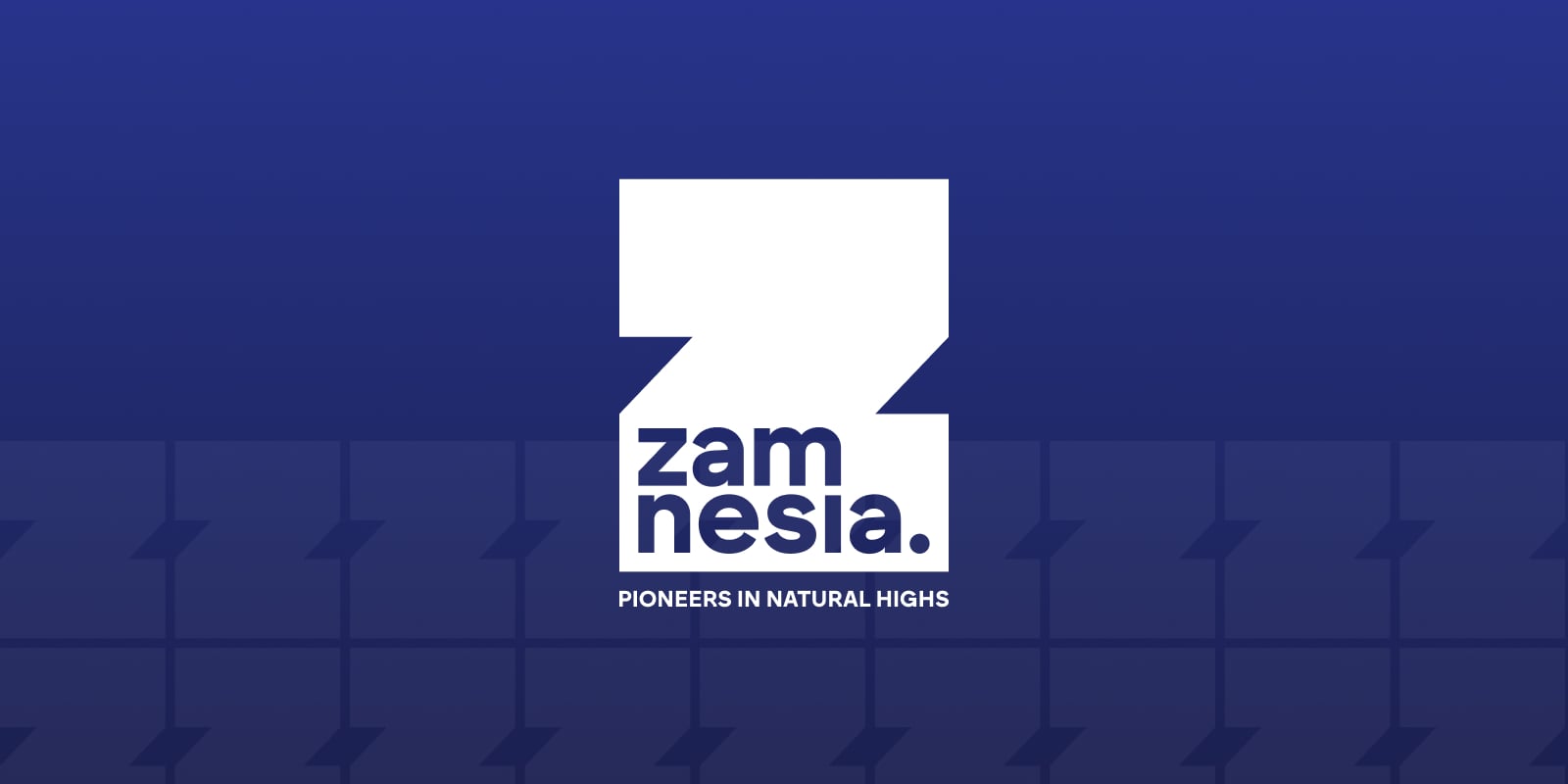 Zamnesia Pol&iacute;tica de Devoluciones
