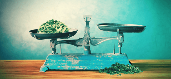 ¿puedes tener una sobredosis de salvia?