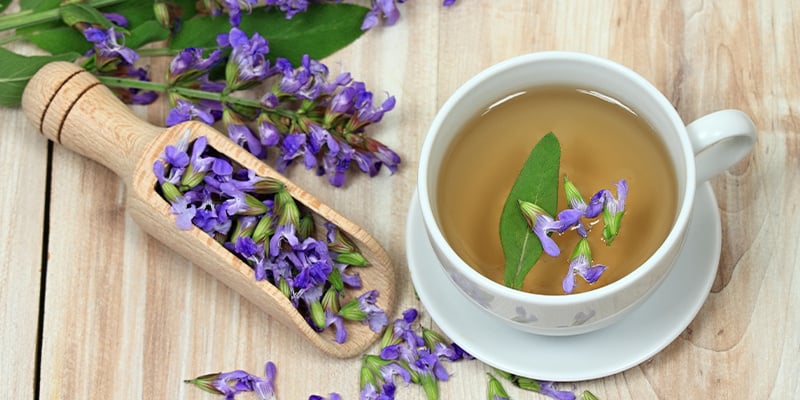 ¿Cómo actúa la Salvia divinorum?