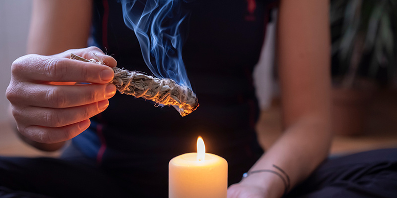 Dónde comprar Salvia divinorum y cuestiones de seguridad