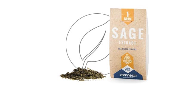 EXTRACTO DE SALVIA 20X (1 GRAMO)