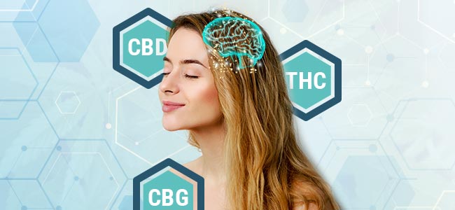Cannabinoides Cannabinoides