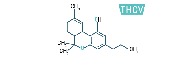 THCV