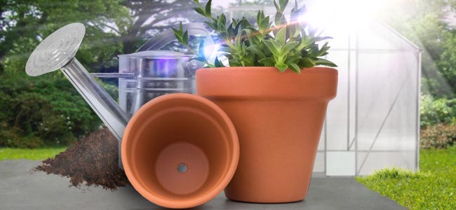 Tiestos, Suelo Y Condiciones De Cultivo Tiestos, suelo y condiciones de cultivo