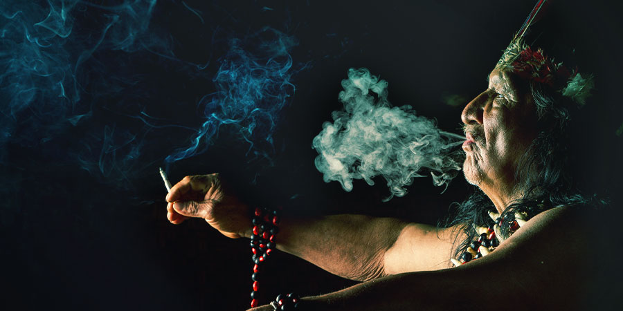 La Dieta Ayahuasca IMAO La Dieta Ayahuasca IMAO