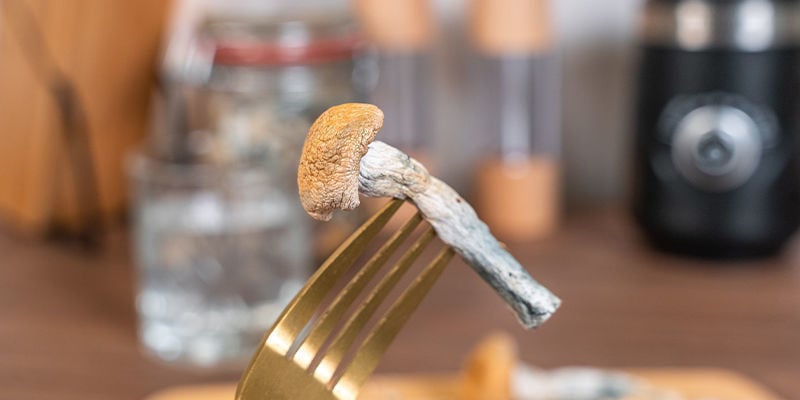 Masticar Y Tragar Las Setas Alucinógenas