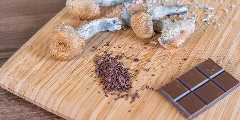 Tomar Comestibles De Setas Alucinógenas