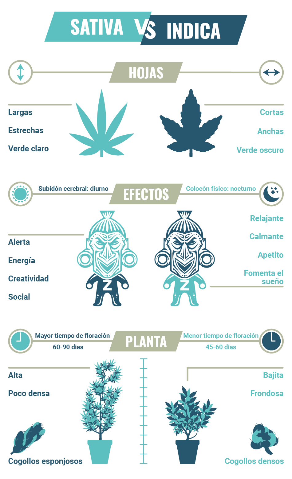 Sativa Vs Indica Efectos Zamnesia