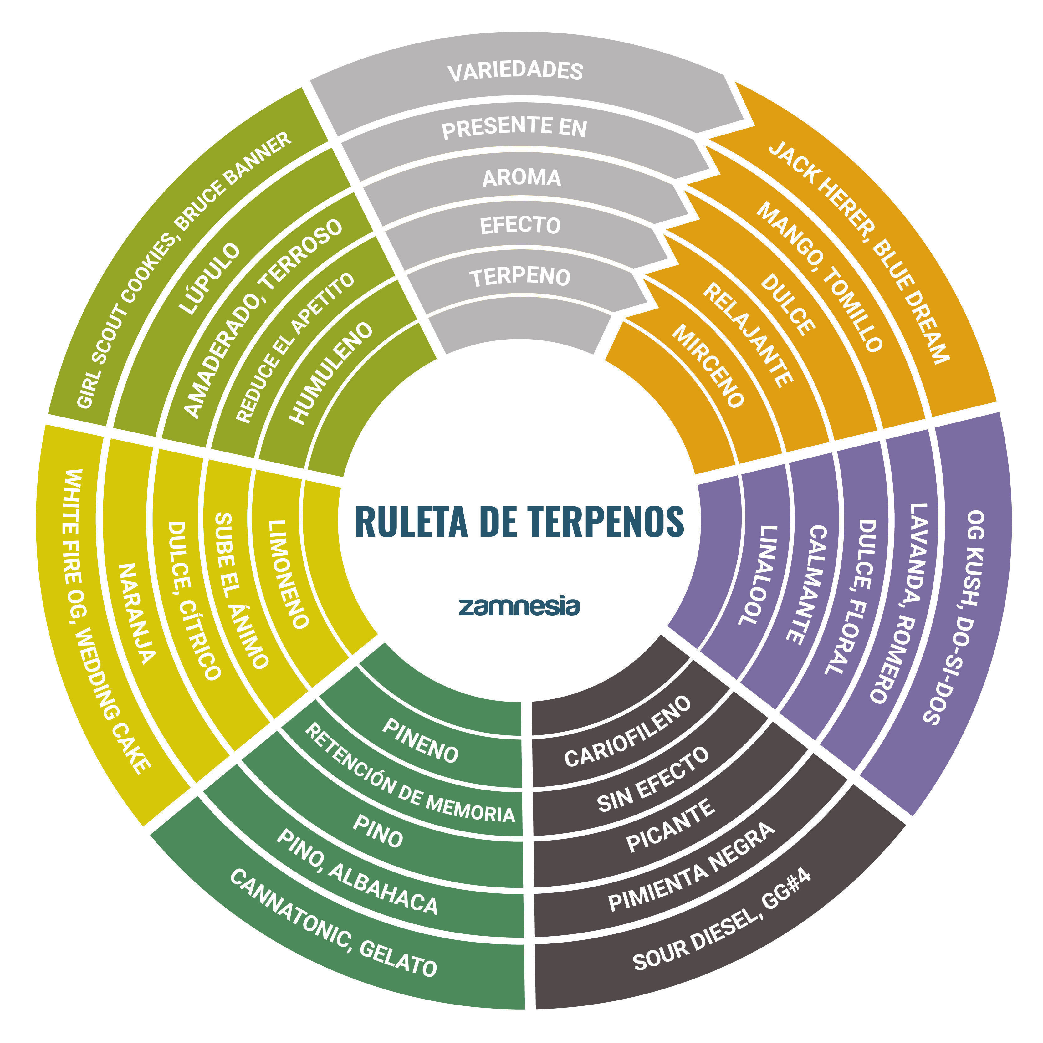 Ruleta De Terpenos