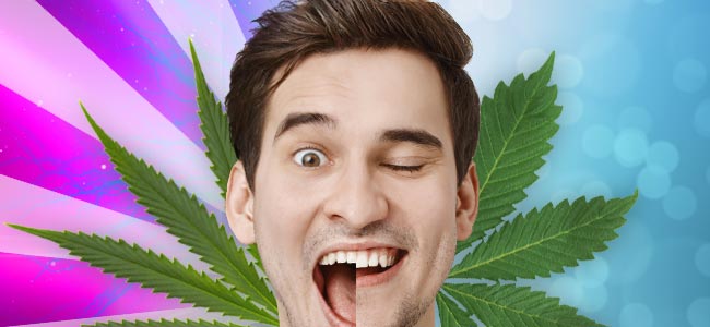 Sativa vs. Indica: Efectos