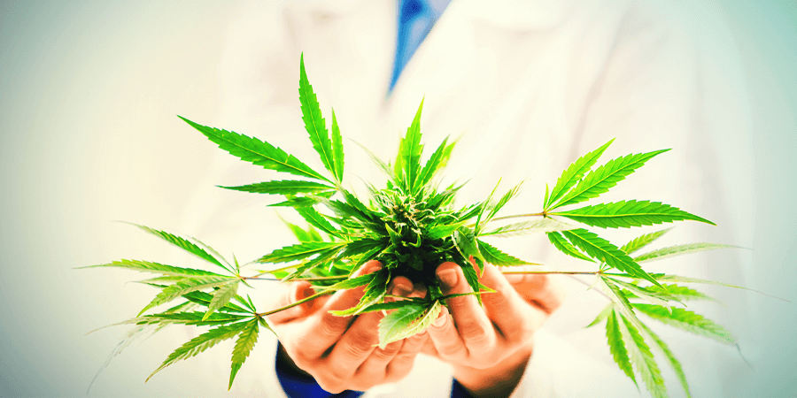 ¿Qué hace el CBD?