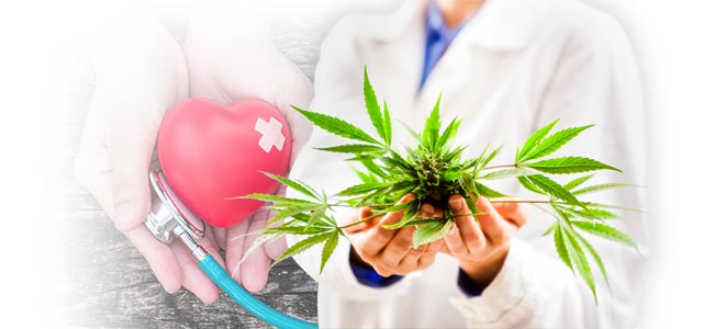 ¿Qué hace el CBD?