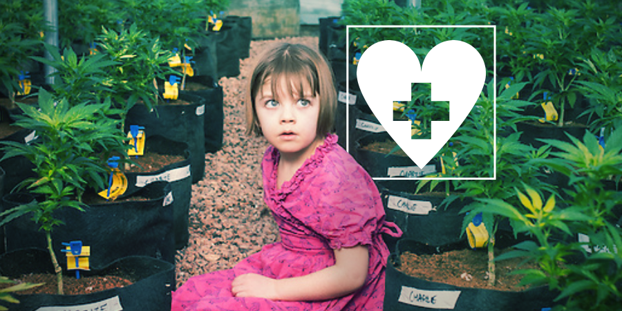 CBD y Epilepsia: La Historia de Charlotte CBD y Epilepsia: La Historia de Charlotte