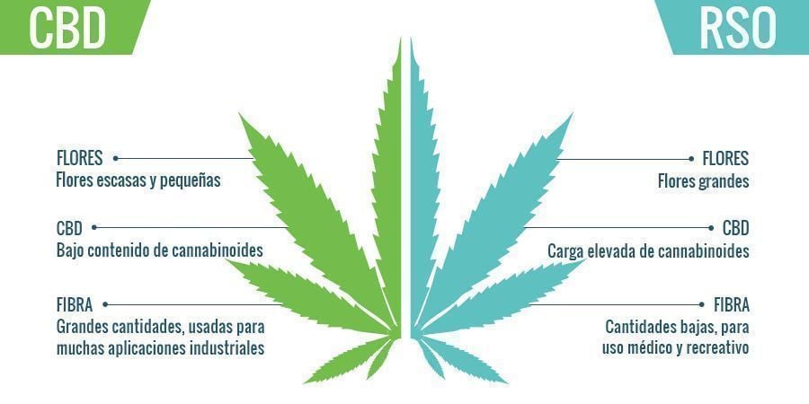 CBD vs RSO