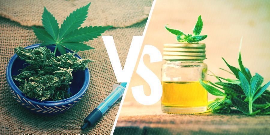 Aceite de CBD vs Aceite Rick Simpson