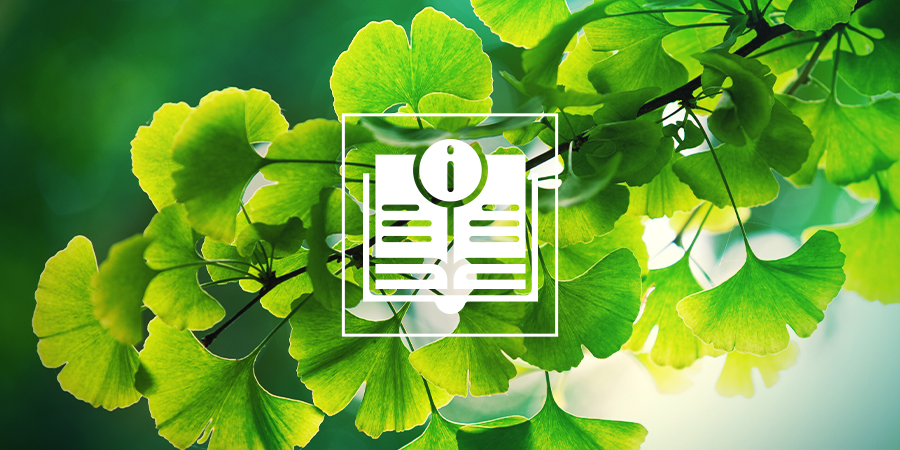 Ginkgo biloba y sus beneficios para la salud