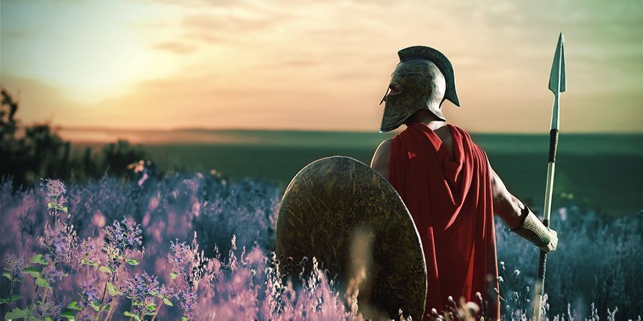 Historia De La Hierba Gatera