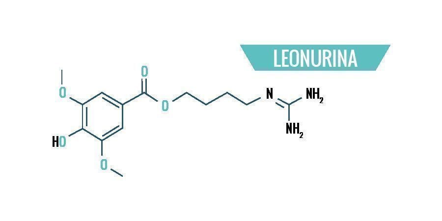 Química De La Leonotis Leonurus