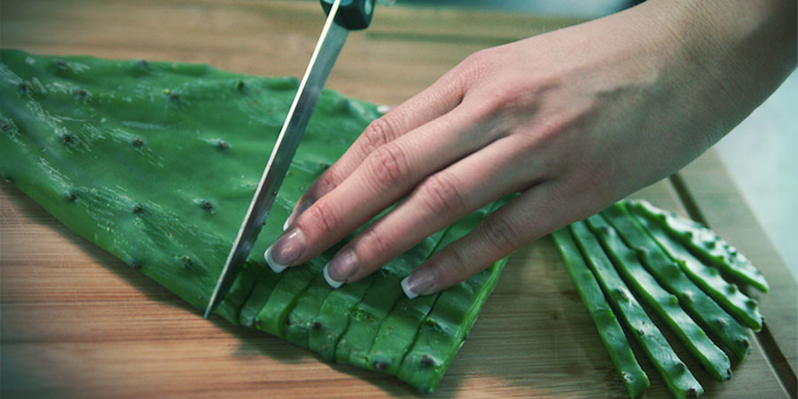 Cómo Preparar El Cactus De Los Cuatro Vientos CÓMO PREPARAR EL CACTUS DE LOS CUATRO VIENTOS