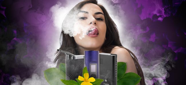 Hierbas Para Vaporizar Como Afrodisíacos Hierbas Para Vaporizar Como Afrodisíacos