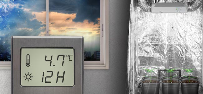 Marzo: Hacer Brotar Los Plantones En El Interior Marzo: Hacer Brotar Los Plantones En El Interior