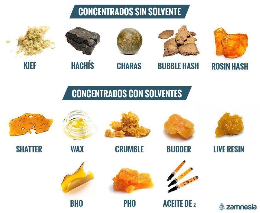 DIFERENTES TIPOS DE CONCENTRADOS: CON SOLVENTE O SIN SOLVENTE