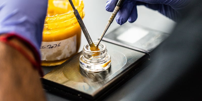 ¿Cómo se elaboran los concentrados de cannabis?