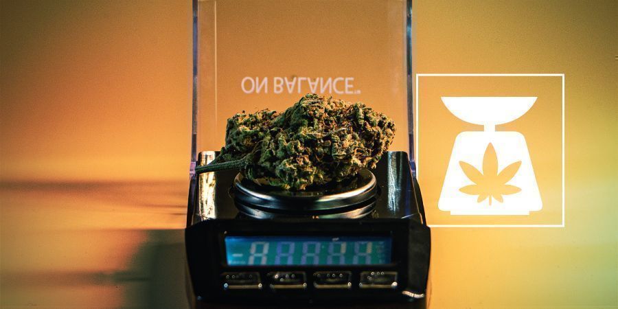 Pesos De La Marihuana: Todo Lo Que Debes Saber