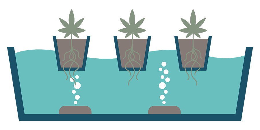 ¿Qué Es El DWC? ¿QUÉ ES EL DWC?